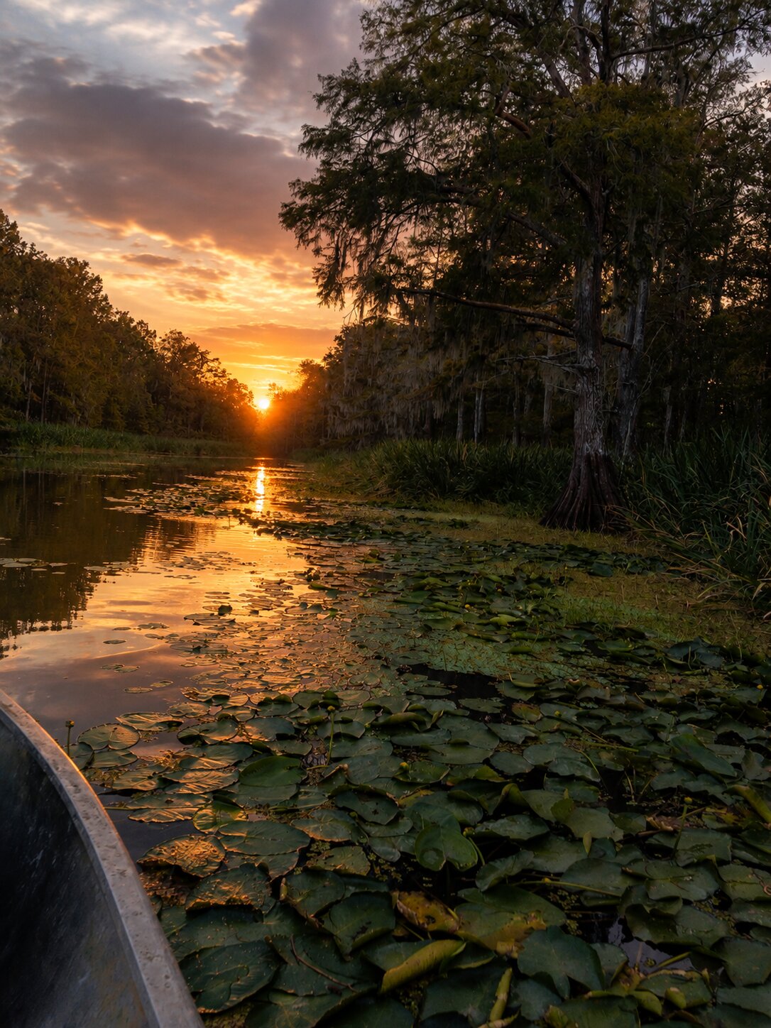 Sunset over the Louisiana swamp